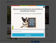Tablet Screenshot of guide-du-chien.com